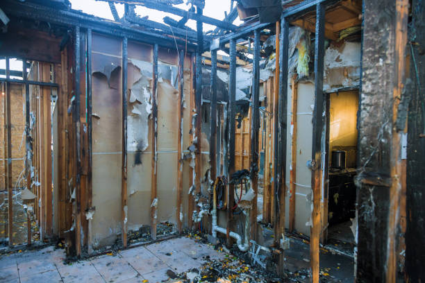 Professional Fire Damage Removal technician working in Perham, MN